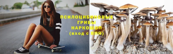 гидропоника Абаза