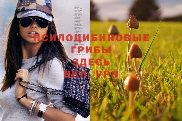mix Покачи